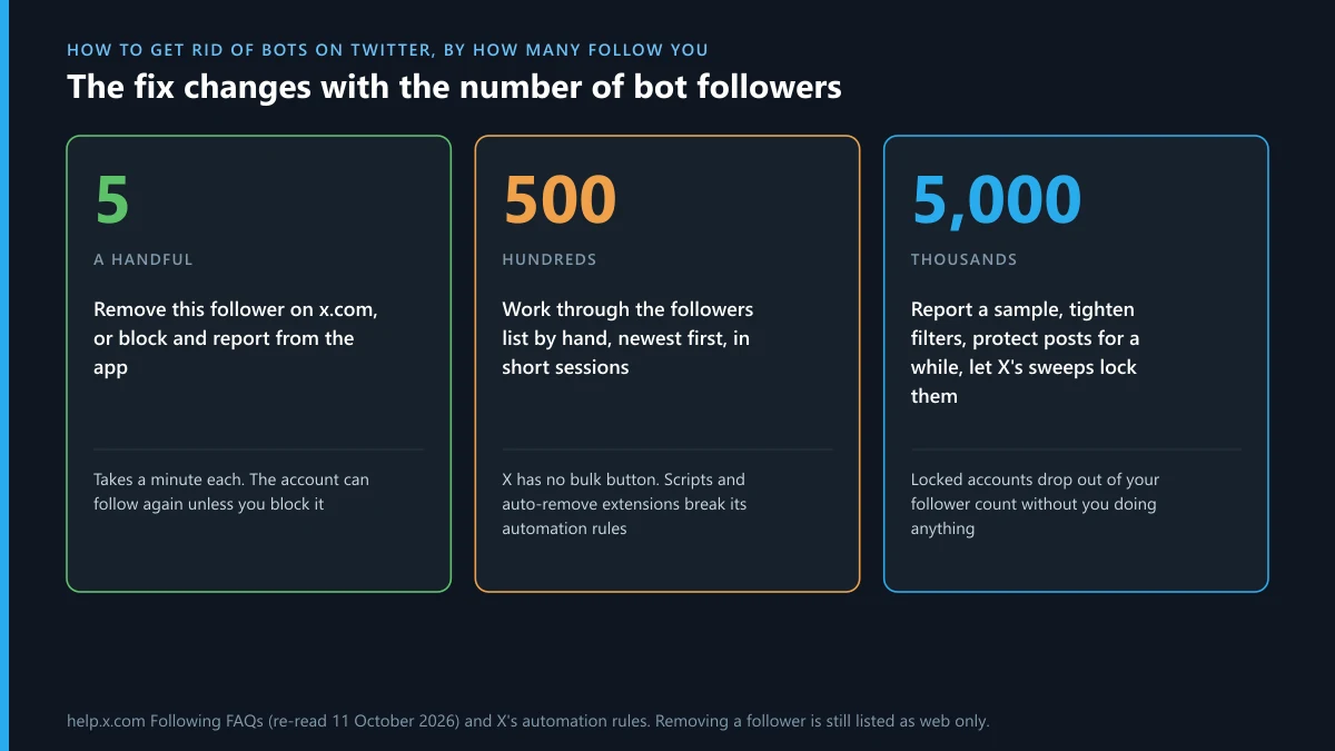 How to get rid of bots on Twitter by follower count: what works for 5, 500 and 5,000 bot followers