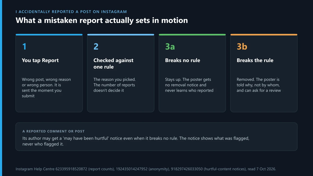 I accidentally reported a post on Instagram: what happens next, from review to no action or removal, and who is told