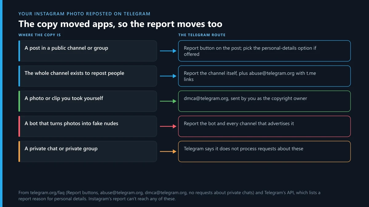 Instagram photo reposted on Telegram: five places the copy can sit and which Telegram report route fits each one