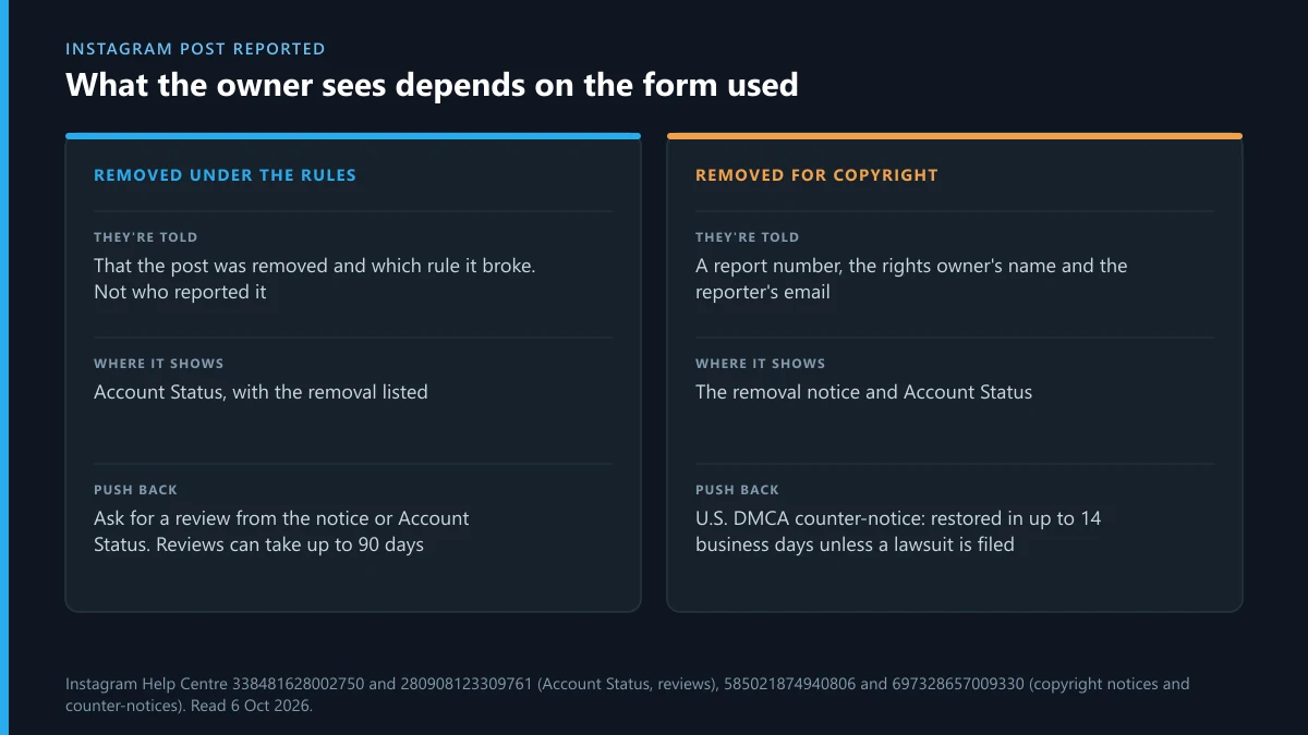 Instagram post reported: what the owner sees after a rules removal versus a copyright removal, and how to push back