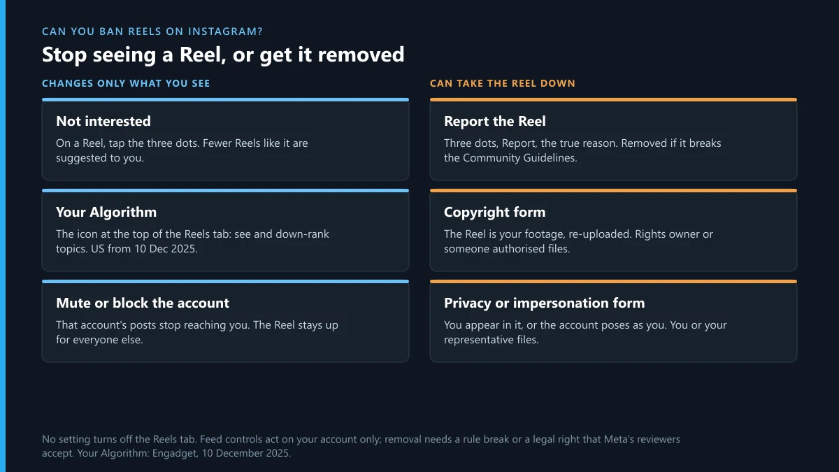 Instagram Reels controls: Not interested, Your Algorithm and mute change your feed; reports and forms remove a Reel