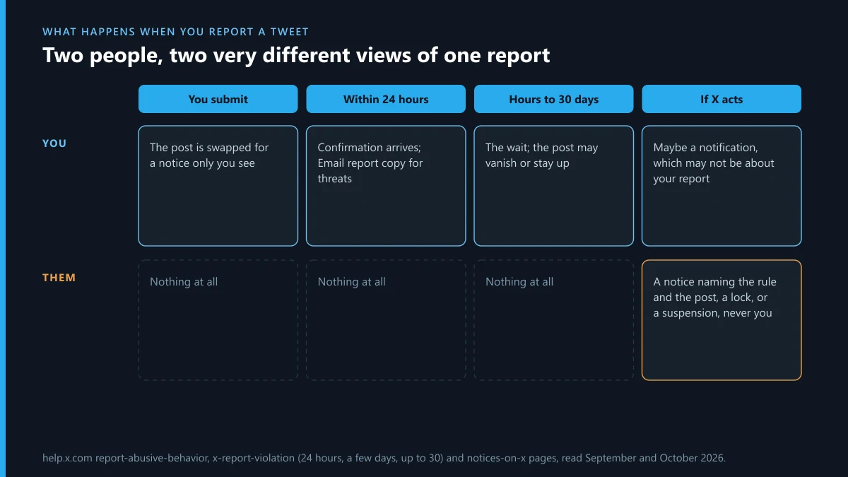 What happens when you report a tweet: what the reporter and the reported account each see, from submission to decision