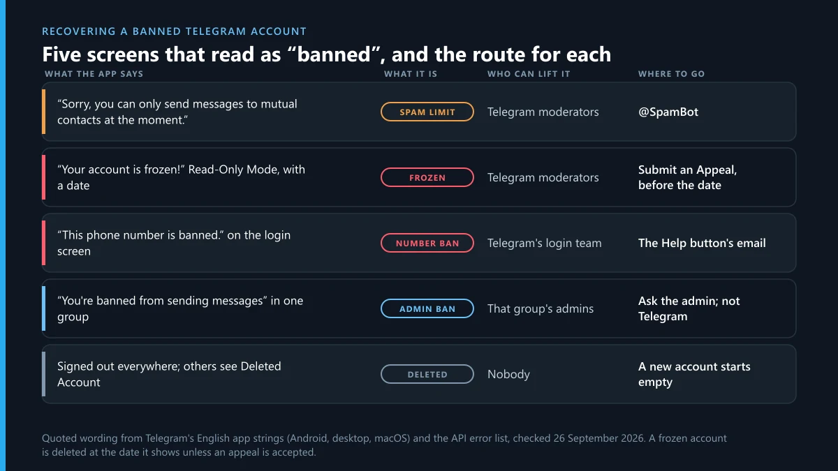 Recover a banned Telegram account: five screens that read as banned, what each one is and where its appeal goes