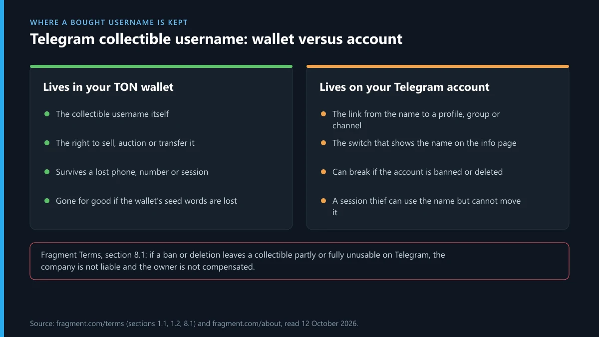 Telegram collectible username ownership: what sits in the TON wallet versus on the Telegram account