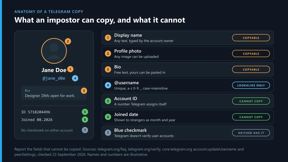 Fake Telegram account anatomy: the name, photo and bio a copy can take, and the @username, ID and join date it cannot