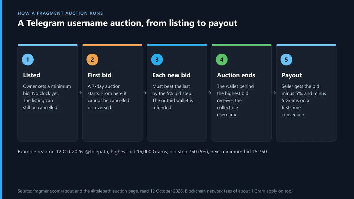 Telegram username auction on Fragment in five stages: listing, first bid, 5% bid steps, the seven-day end and seller payout