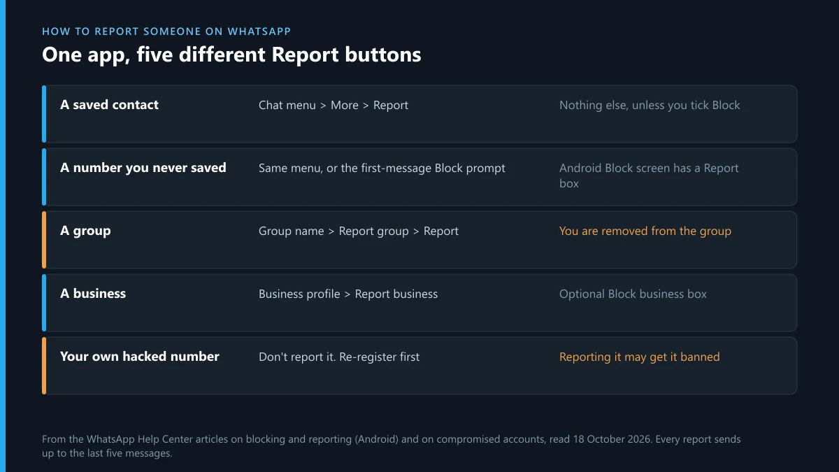 How to report someone on WhatsApp: the Report button for a contact, a number, a group or a business